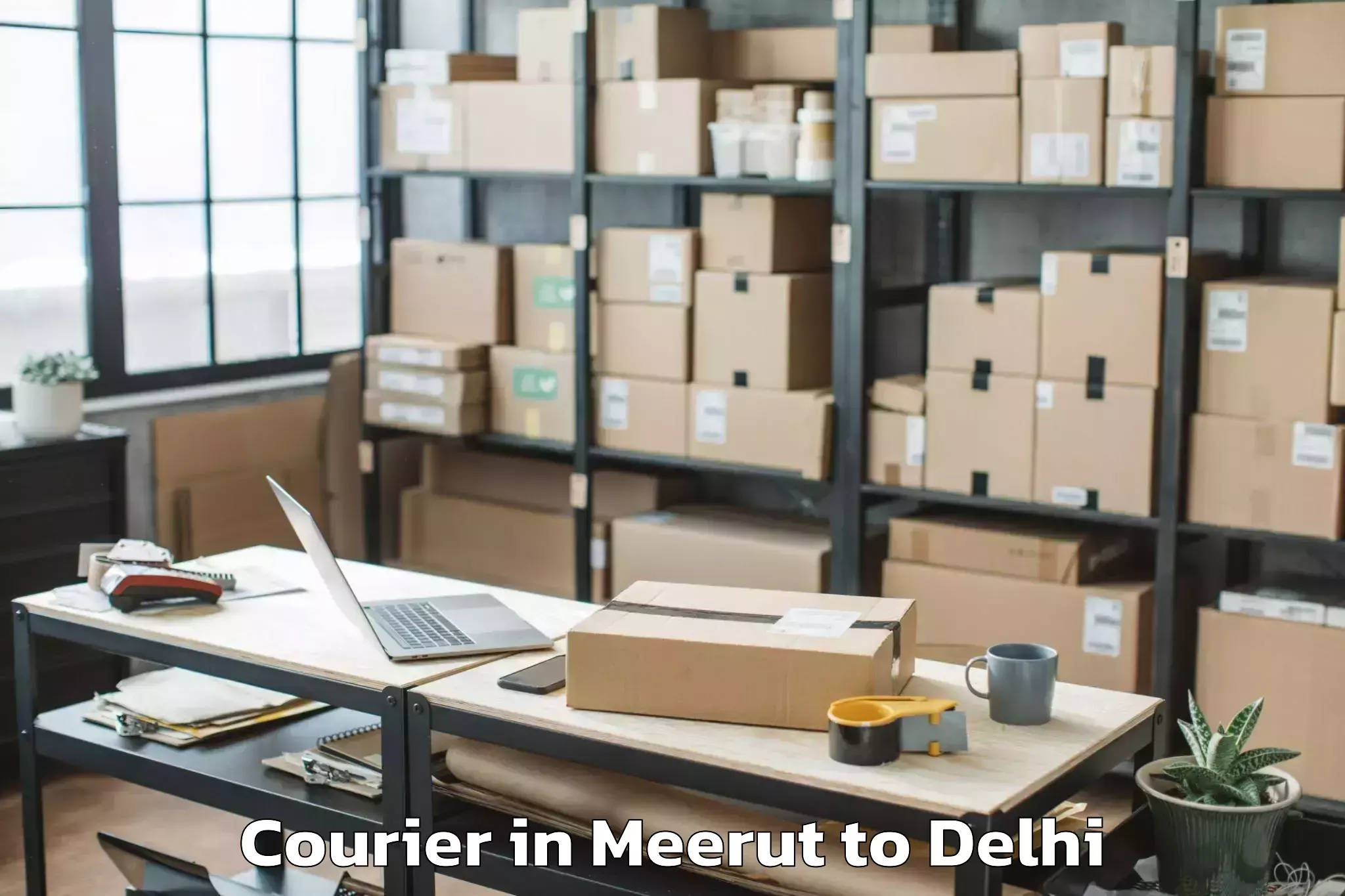 Book Meerut to National Institute Of Educatio Courier Online